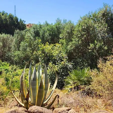 Apartment Complejo Rural Pedregales