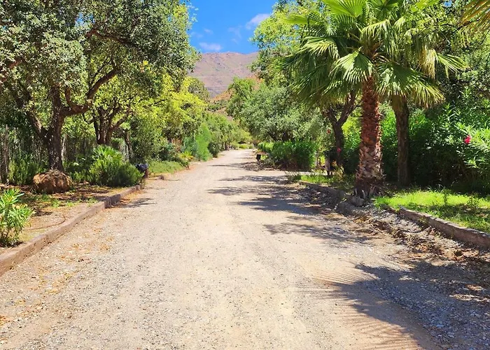 Apartamento Complejo Rural Pedregales