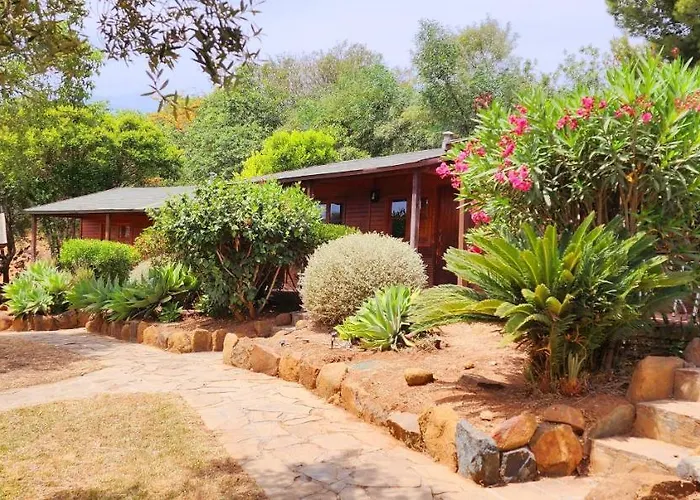 公寓 Complejo Rural Pedregales 埃斯特波纳