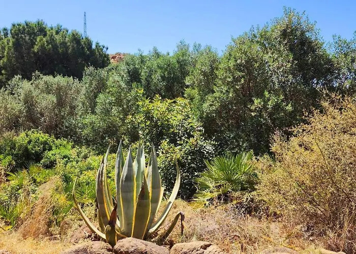 公寓 Complejo Rural Pedregales